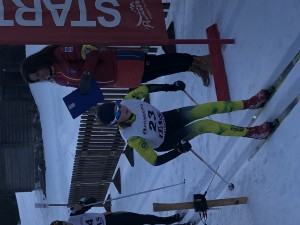 Veronesi Aurora 2